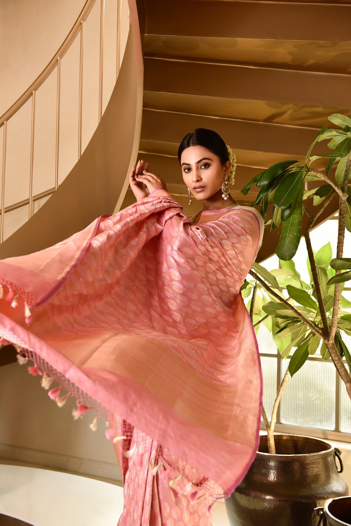 Banarasi Silk Silver and Gold Double Leaf Motif Pink Saree