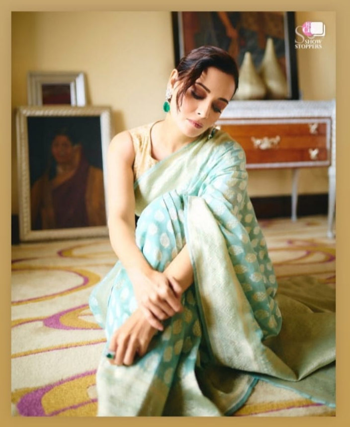 Dia Mirza in our Cora Cotton Kery Saree