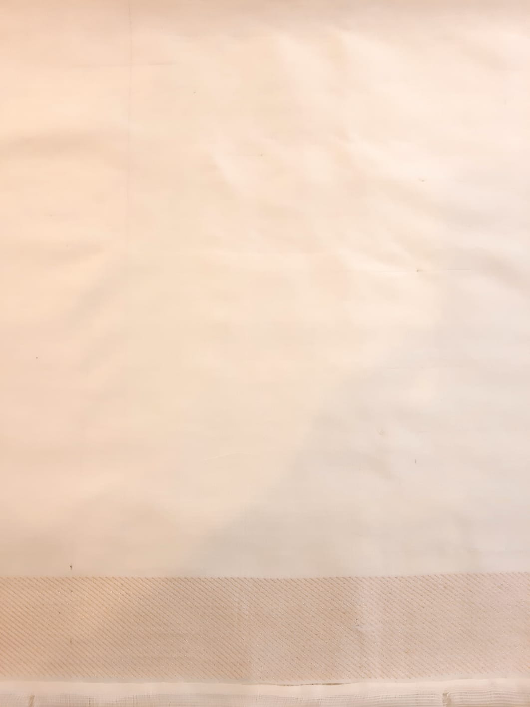 Banarasi Silk Pushkar Silver / Gold Design Ivory Saree