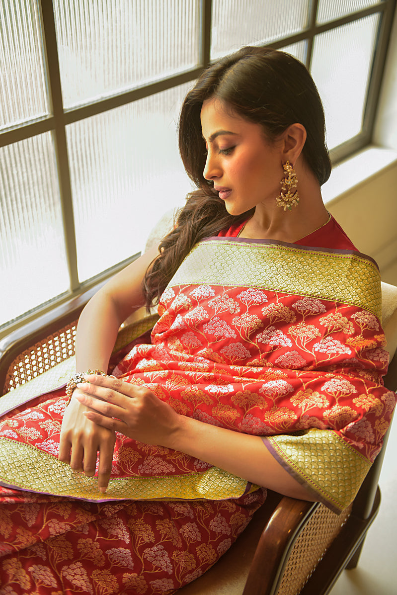 Banaras Katan Silk Saree – Red | All-Over Silver & Gold Cluster Jaal Weave | Lime Zari Border | Handwoven Banarasi Saree