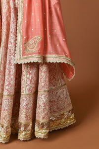 Banaras Kota Gold and Silver Foil Print With Dori Embroidery Pink Lehenga Set