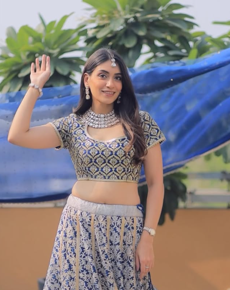 Banarasi Kota Gold and Silver Foil Print With Dori Embroidery Indigo Lehenga Set