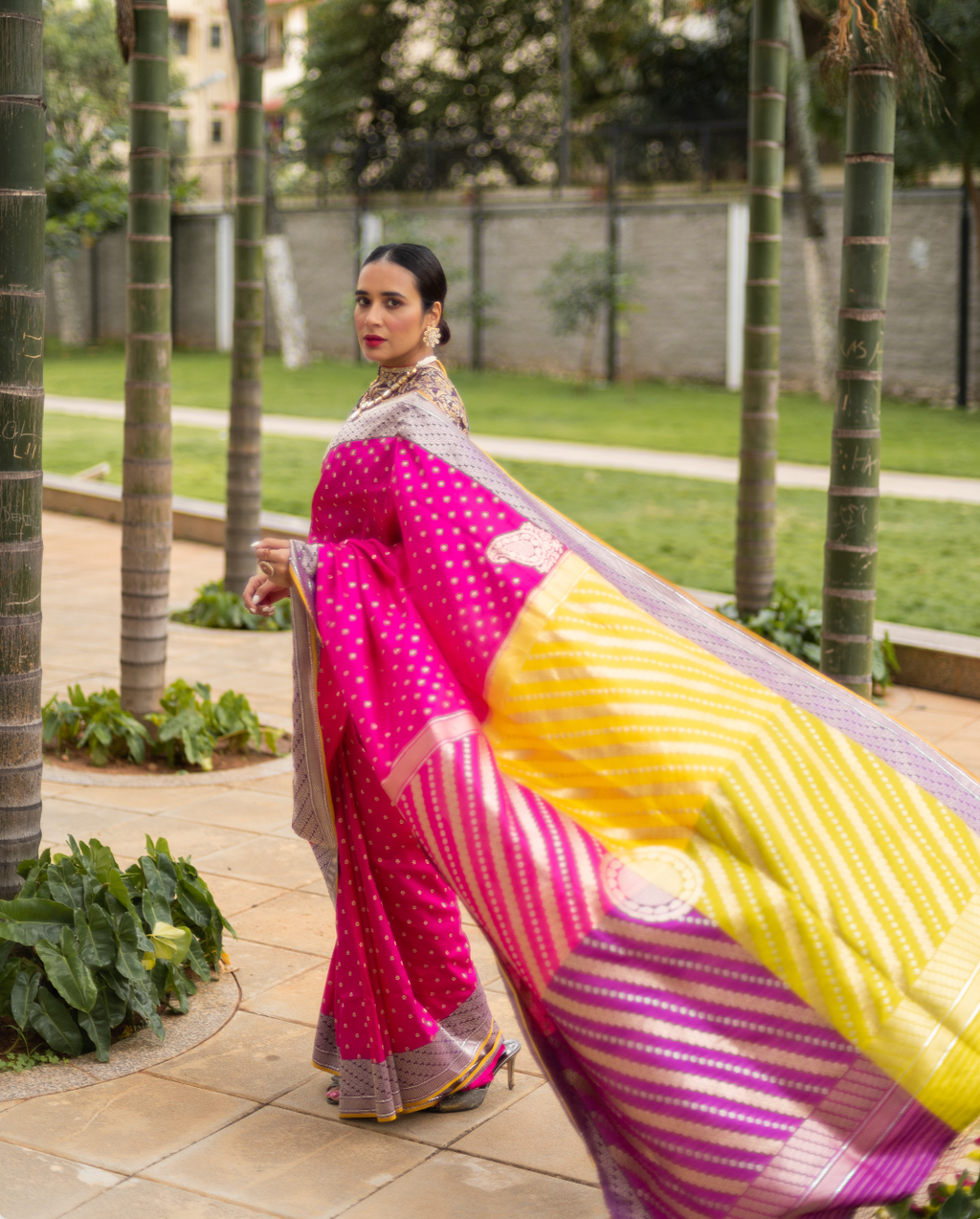 Banarasi Silk Chaar Rang (4-colour) Palla with Zari Buti Saree